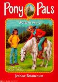 Pony Pals 22 Western Pony