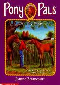 Pony Pals 24 Unlucky Pony