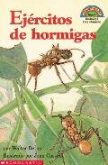 Ejercitos De Hormigas Armies Of Ants