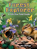 Forest Explorer A Life Size Field Guide