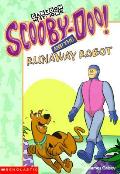 Scooby Doo & The Runaway Robot