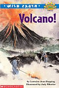 Wild Earth Volcanoes