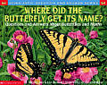 Where Did The Butterfly Get Its Name