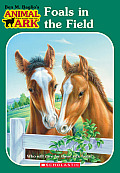Animal Ark 24 Foals In The Field Series