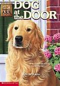 Animal Ark 25 Dog At The Door