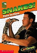 Snakes Face To Face Animal Planet