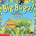 Big Bugs Giant Creepy Crawly Pop Ups