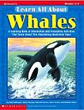Learn All About Whales Gr 1 4
