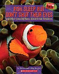 Speedy Facts Fish Sleep But Dont Shut Ey