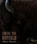 Saving The Buffalo