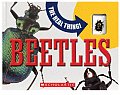 Beetles With Real Beetle Encased in Plastic