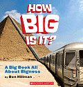 How Big Is It A Big Book All about Bigness