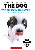 Why Are Dogs Noses Wet & Other True Facts