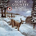North Country Night
