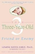 Your Three Year Old Friend Or Enemy