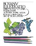 Botany Illustrated Introduction To Plants