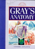 Grays Anatomy The Anatomical Basis Of Medicine & Surgery