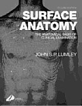 Surface Anatomy The Anatomical Basis Of Clinical Examination