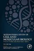 Overview of Inflammatory Breast Cancer: Updates: Volume 384