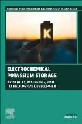 Electrochemical Potassium Storage: Principles, Materials, and Technological Development