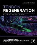 Tendon Regeneration: Understanding Tissue Physiology and Development to Engineer Functional Substitutes