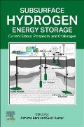 Subsurface Hydrogen Energy Storage: Current Status, Prospects, and Challenges