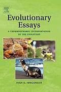 Evolutionary Essays: A Thermodynamic Interpretation of the Evolution