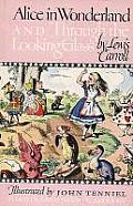 Alice in Wonderland & Through the Looking Glass Illustrated Junior Library