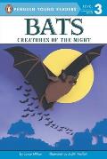 Bats Creatures Of The Night All Aboard