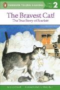 Bravest Cat True Story Of Scarlett