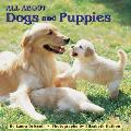 All About Dogs & Puppies