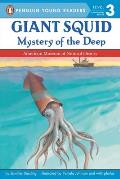 Giant Squid Mystery of the Deep