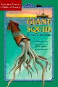 Giant Squid Mystery Of The Deep Board Re