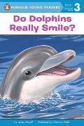Do Dolphins Really Smile