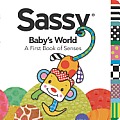 Babys World A First Book of Senses