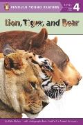 Lion Tiger & Bear
