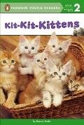 Kit Kit Kittens