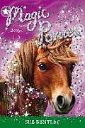 Magic Ponies Books 1 3