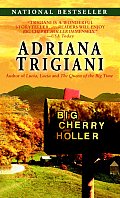 Big Cherry Holler Big Stone Gap Novel