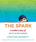 The Spark: A Mother's Story of Nurturing Genius