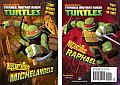 Mutant Origin Michelangelo Raphael Teenage Mutant Ninja Turtles