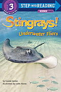 Stingrays Underwater Fliers
