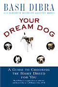 Your Dream Dog A Guide To Choosing The Right
