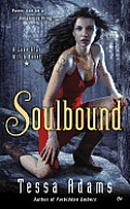 Soulbound: A Lone Star Witch Novel