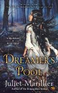 Dreamers Pool Blackthorn & Grim Book 1