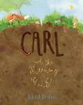 Carl and the Meaning of Life