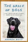 Grace of Dogs A Boy a Black Lab & a Fathers Search for the Canine Soul