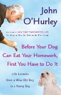 Before Your Dog Can Eat Your Homework, First You Have to Do It: Life Lessons from a Wise Old Dog to a Young Boy