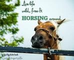 Live life wild, free & horsing around