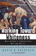 Working Toward Whiteness How Americas Immigrants Became White The Strange Journey from Ellis Island to the Suburbs